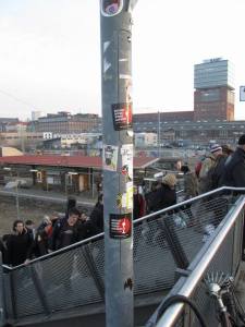 1150862_216996311833078_289037552_n