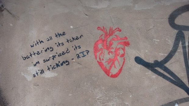 13087687_481240498737886_9158541882062787239_n