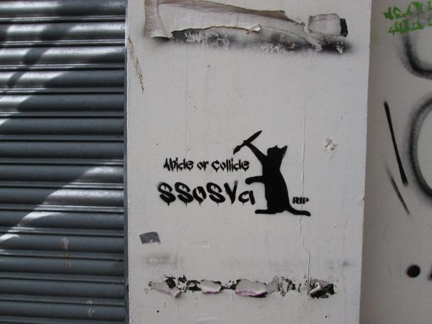 13124616_481240482071221_8117798589866636313_n