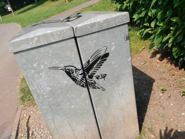 19247740_1717566038545535_7810352026217299553_n