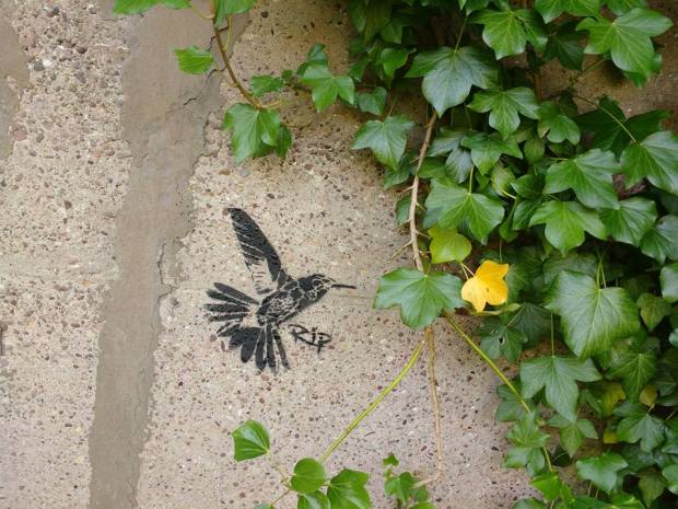 19366555_1717565995212206_6065709787632883613_n